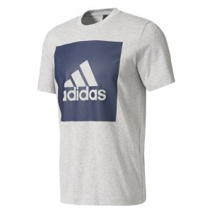 Koszulka adidas Essentials Big Box Logo Tee M S98725