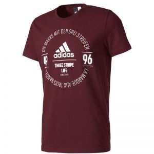 Koszulka adidas Logo Tee M BK2804