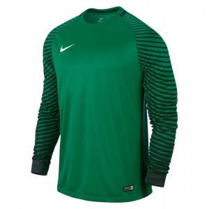 Koszulka bramkarska Nike Gardien LS Junior 725969-319