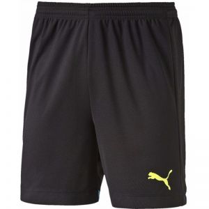 Spodenki Puma IT evoTRG Shorts M 654757511