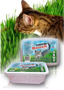 Certech Super Benek Trawka szybkorosnąca dla kota 150g