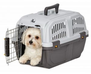 MPS Transporter Skudo 1 IATA 48x31,5x31cm