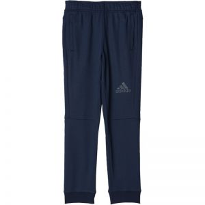 Spodnie treningowe adidas Workout Pant M BK0947
