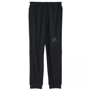 Spodnie treningowe adidas Workout Pant M BK0946