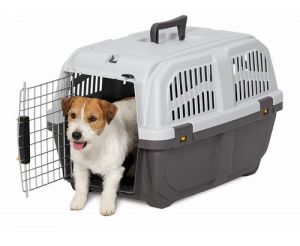 MPS Transporter Skudo 3 IATA 60x40x39cm