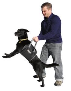Outward Hound Uprząż do asystowania psu [21005]